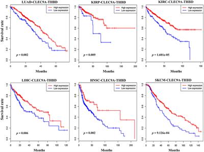 The Superior Ability of Human BDCA3+ (CD141+) Dendritic Cells (DCs) to Cross-Present Antigens Derived From Necrotic Lung Cancer Cells